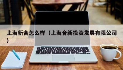 上海新合怎么样（上海合新投资发展有限公司）