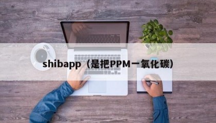 shibapp（是把PPM一氧化碳）