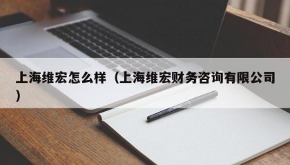 上海维宏怎么样（上海维宏财务咨询有限公司）