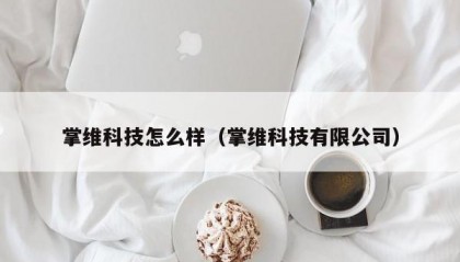 掌维科技怎么样（掌维科技有限公司）