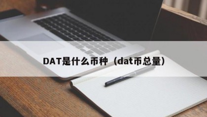DAT是什么币种（dat币总量）